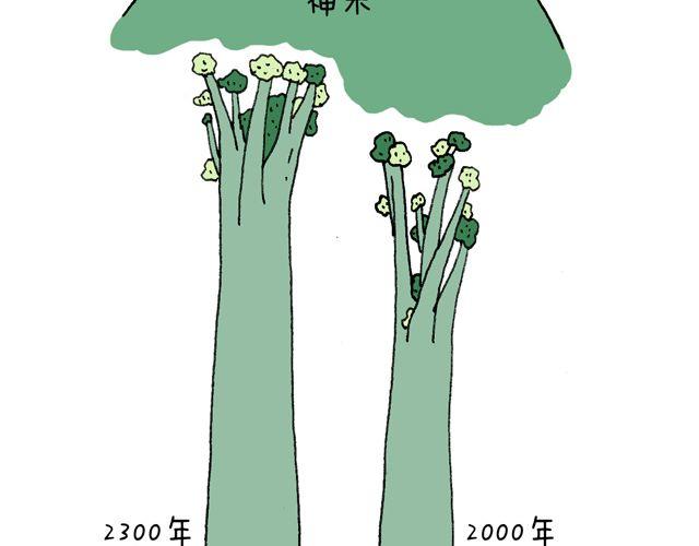 这就是台湾~53