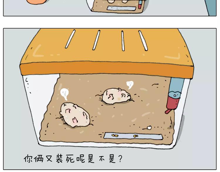 第172话 鼠患29