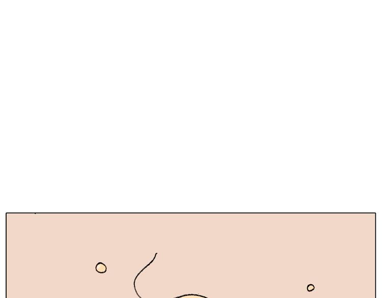 厨艺56
