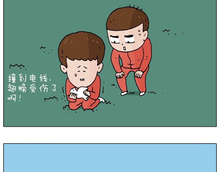 老同学的回忆50