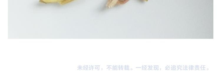 第205话 胜者为王55