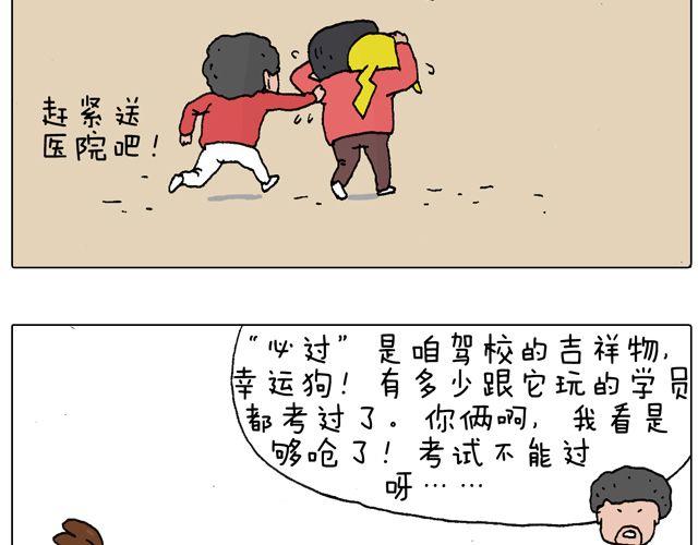 驾照必过宝典，不看后悔！10