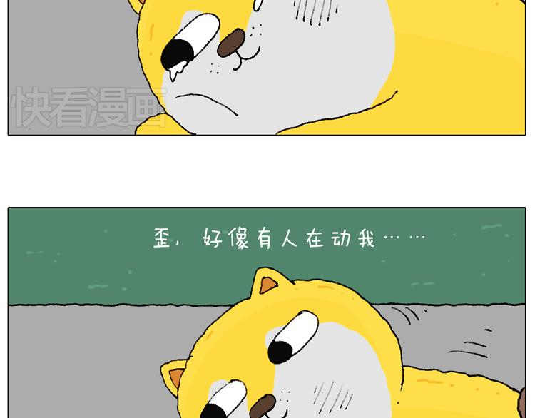 空中滑索40