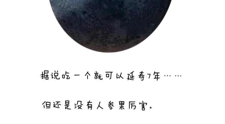 第236话 “黑玉子”67