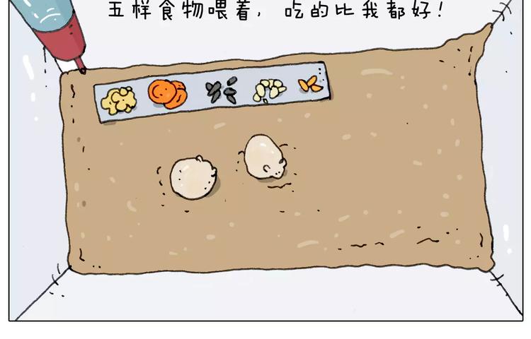 第172话 鼠患21