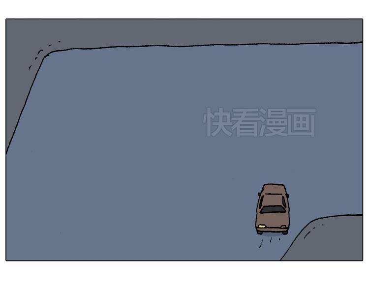 速度与亲情31