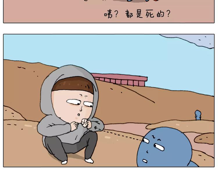 浪里个浪64