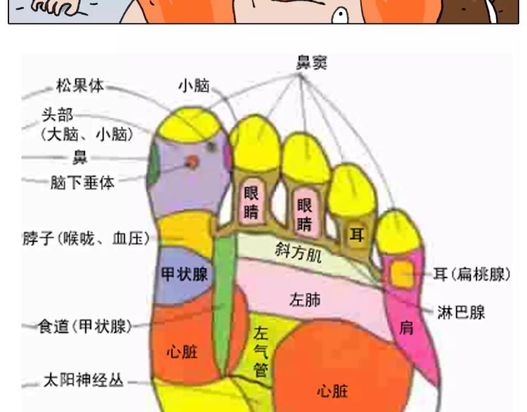 第170话64