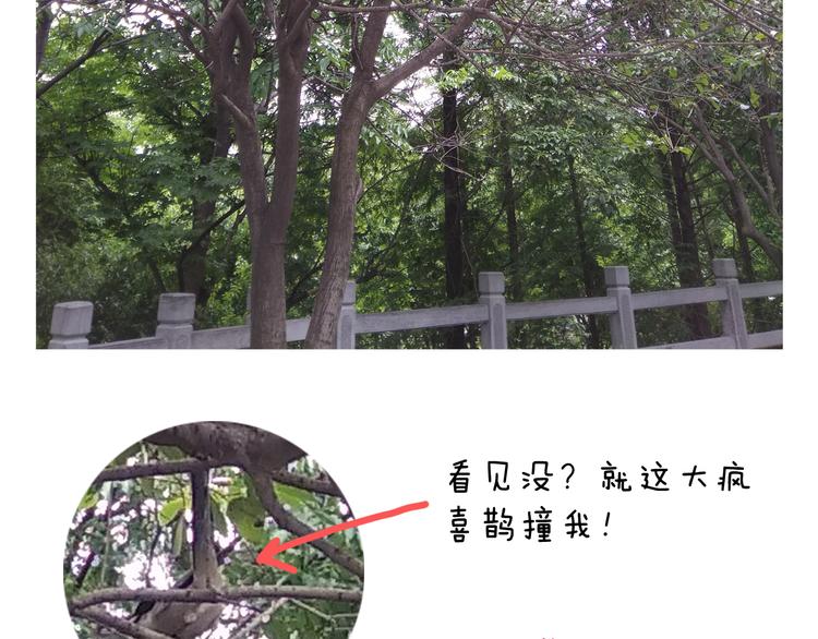 第187话 意外伤害75