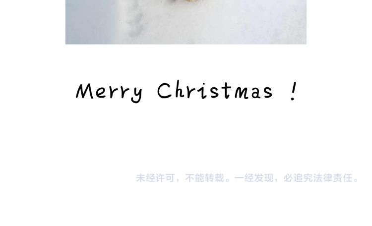 打雪仗84