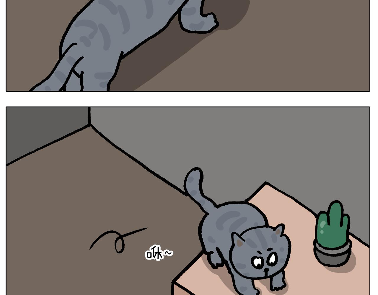 第421话 与猫大战37