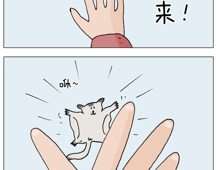 第253话 动物之友38