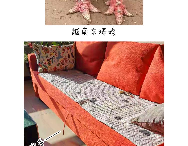 第319话 沙发里翻了船60