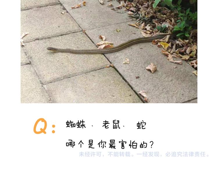 第351话 血脉压制50