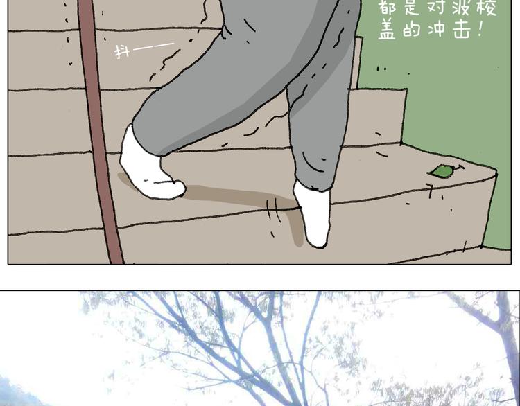 泰山行244