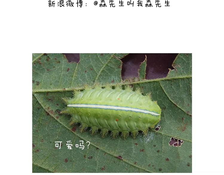 麒麟臂69