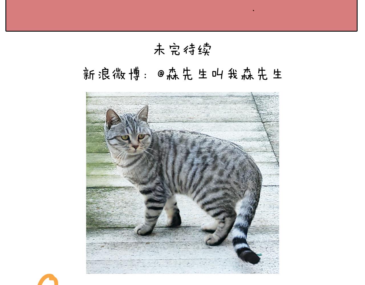 第421话 与猫大战47