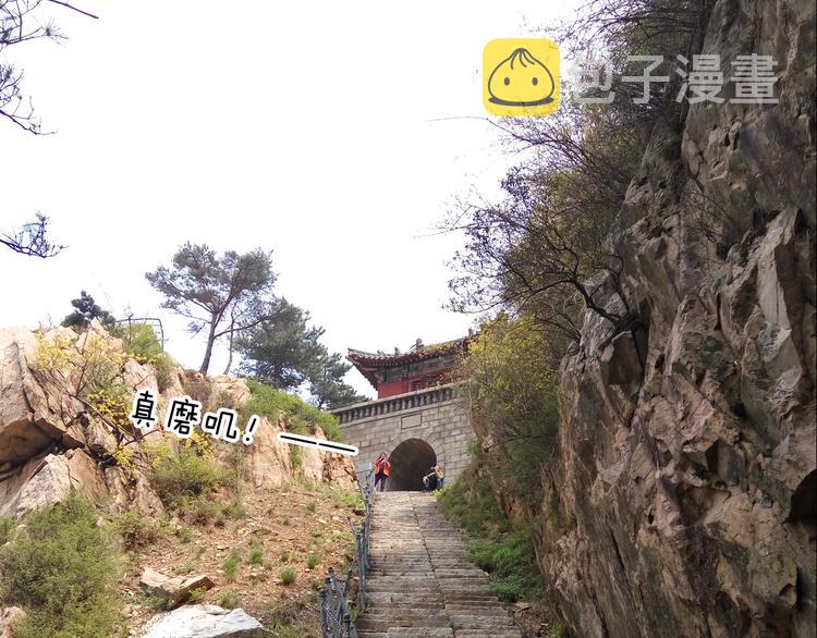 泰山行259