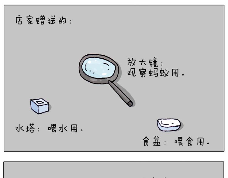 第212话 蚂蚁侠27