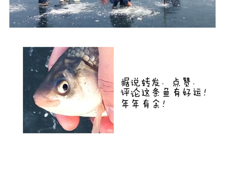 北方冬天的钓鱼方式70