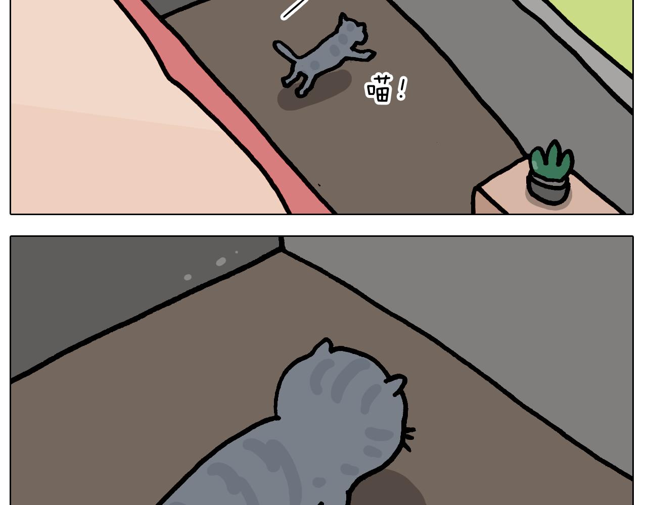 第421话 与猫大战36