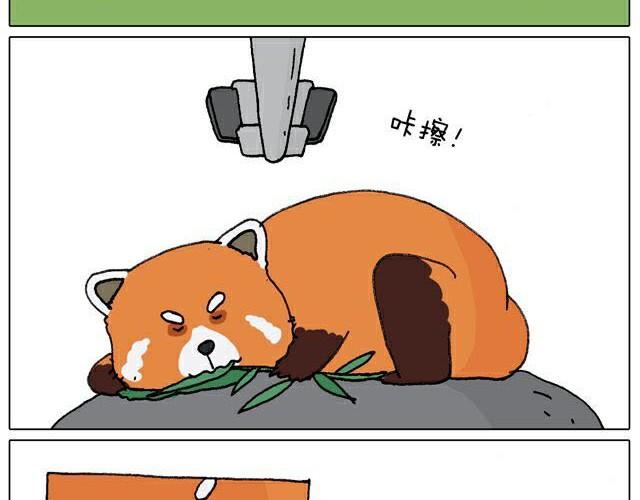 自拍需谨慎！27