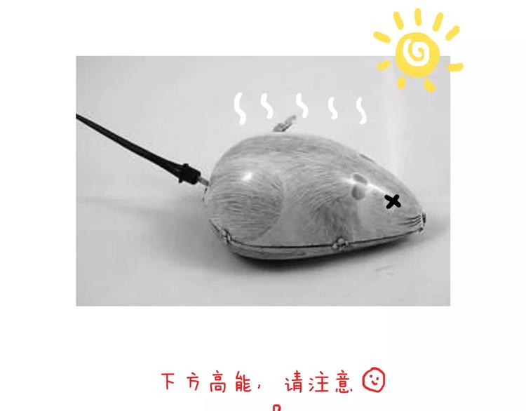 第172话 鼠患51