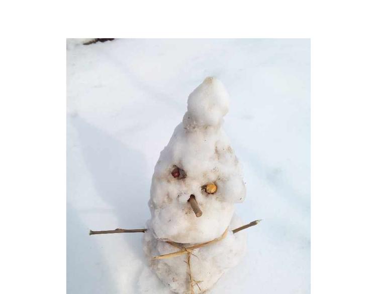 打雪仗83