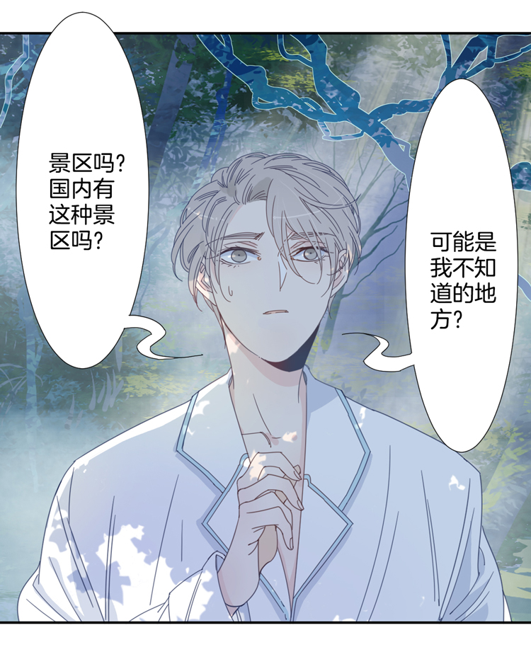 11 花果山的秘密12