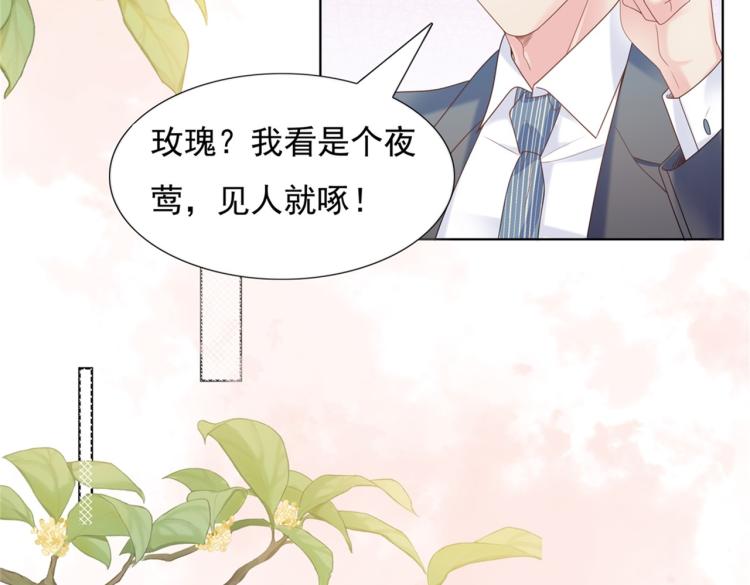 第1话 出轨小姐vs黄金直男53