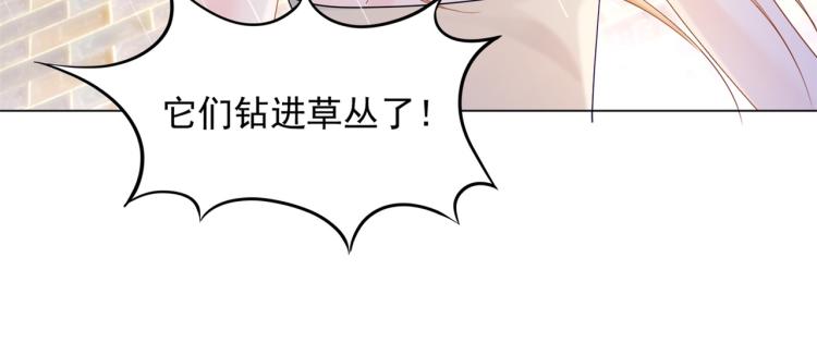 第2话 遛狗情缘31