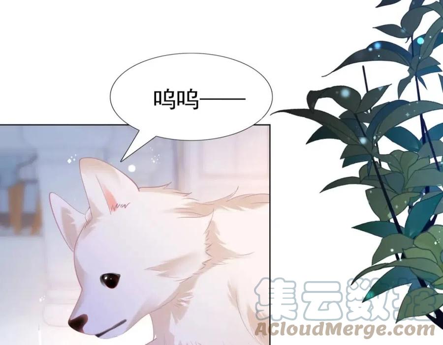 第41话 这该不是……要生了？6