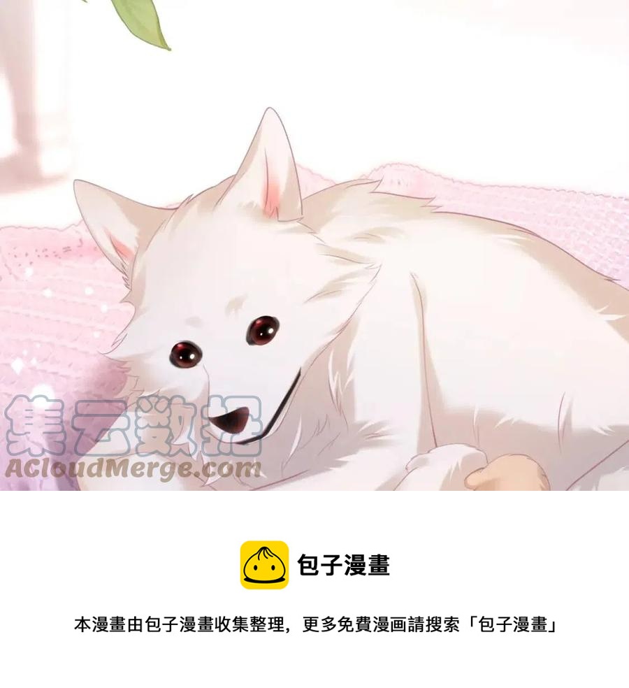 第41话 这该不是……要生了？60