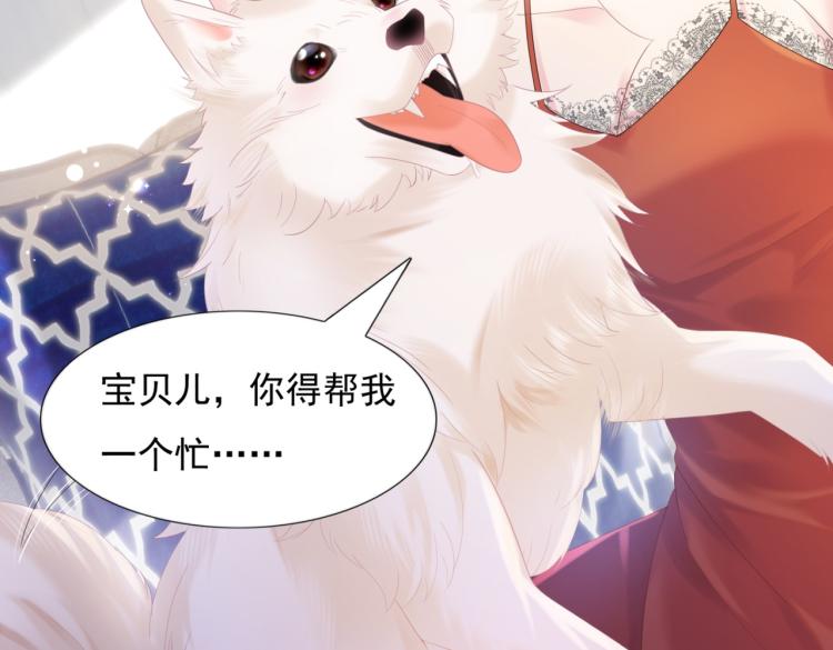 第2话 遛狗情缘11