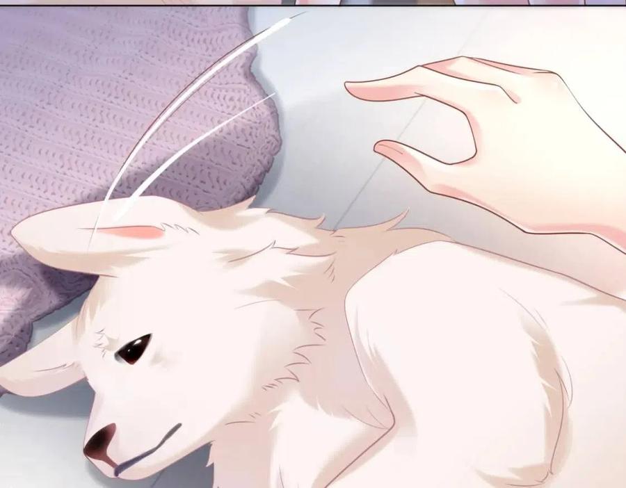 第41话 这该不是……要生了？10