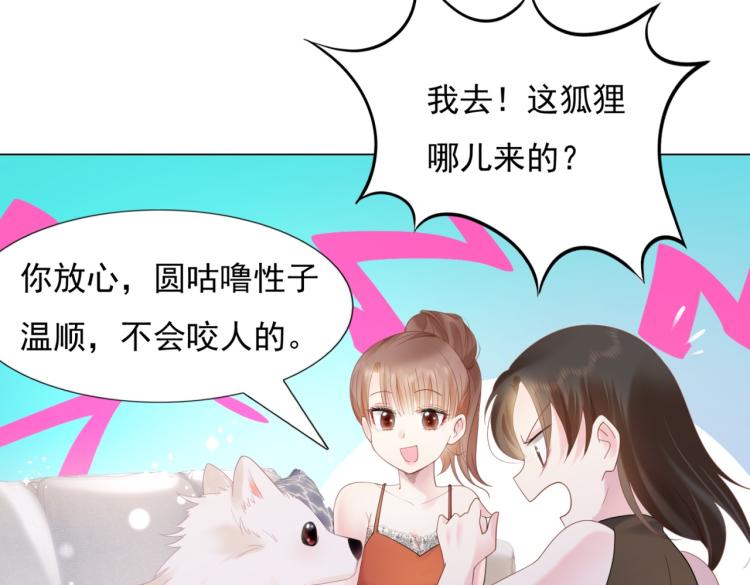 第2话 遛狗情缘8