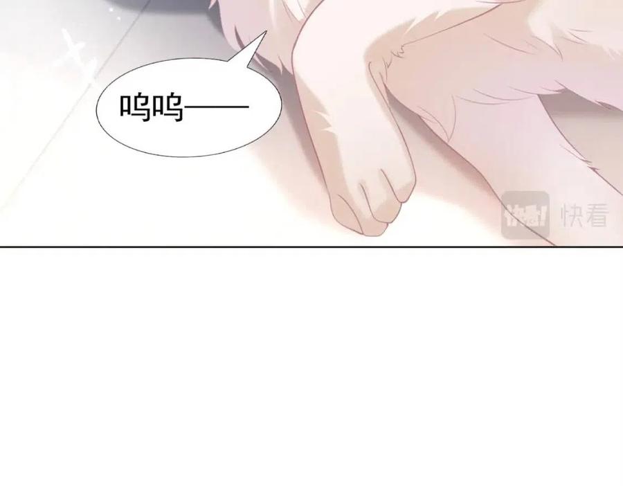 第41话 这该不是……要生了？11