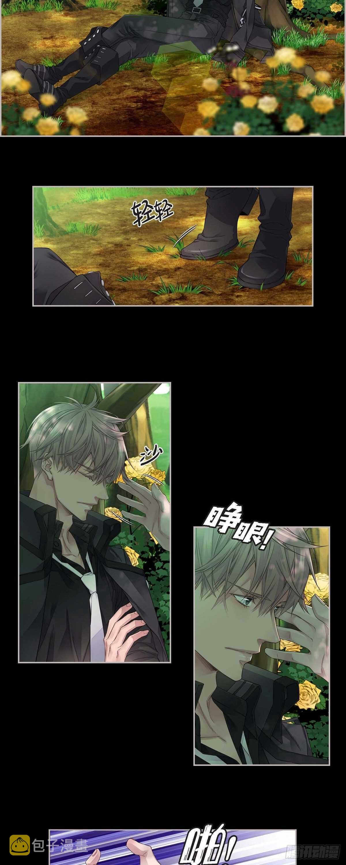 08.罗宾哥11
