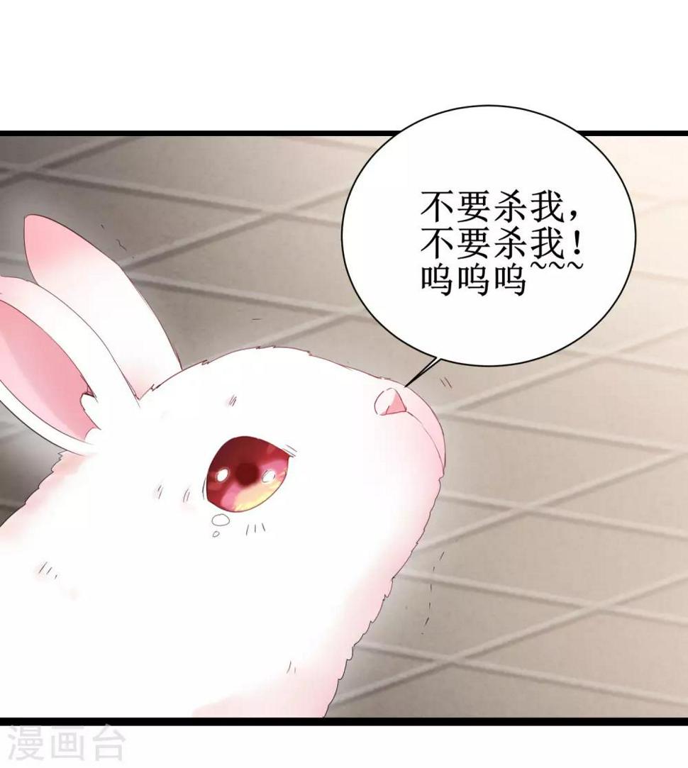 第84话 兔兔可爱8