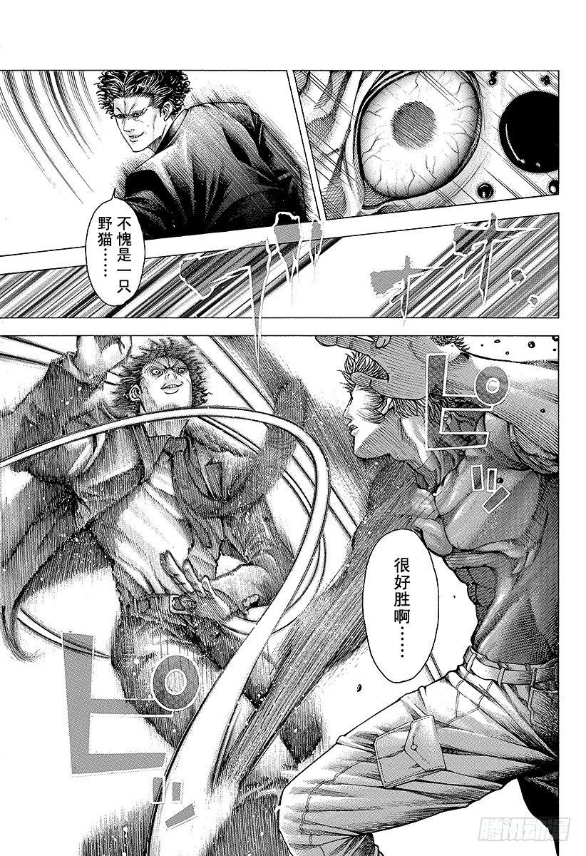 第60话 狮子与狮子6