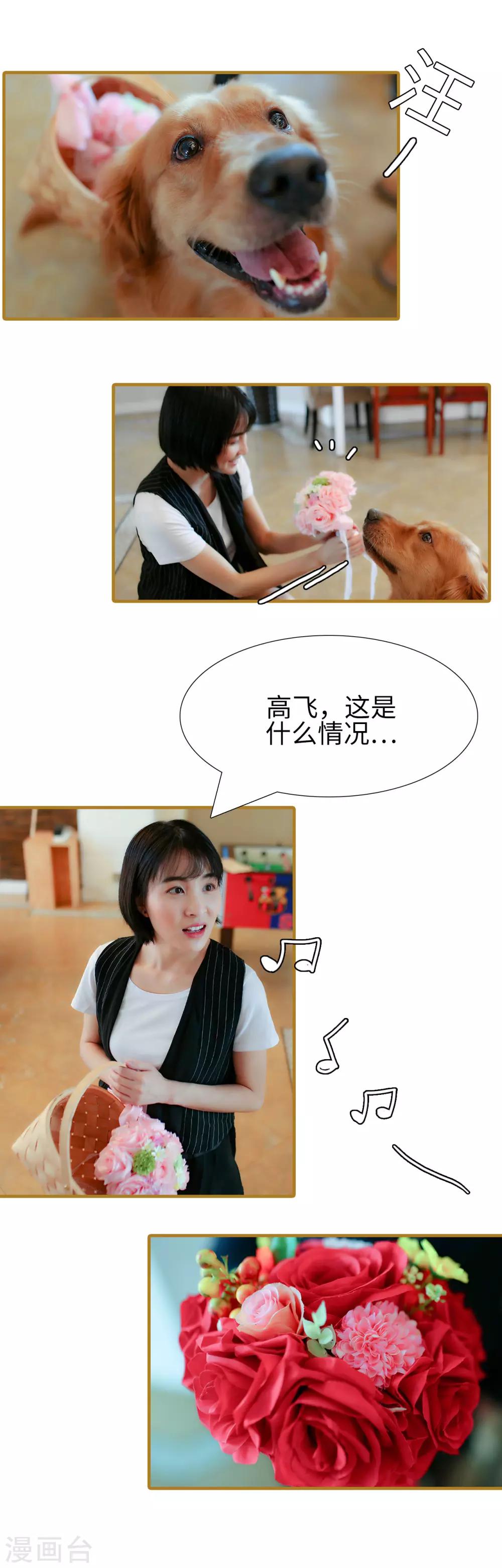 最终话6