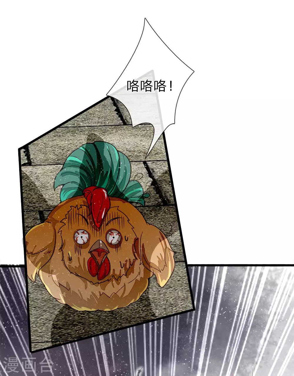 第88话 徐沐肉鸡VS职业斗鸡8