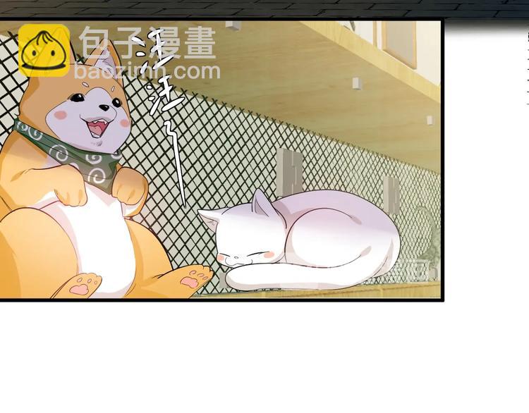 12.袭警106