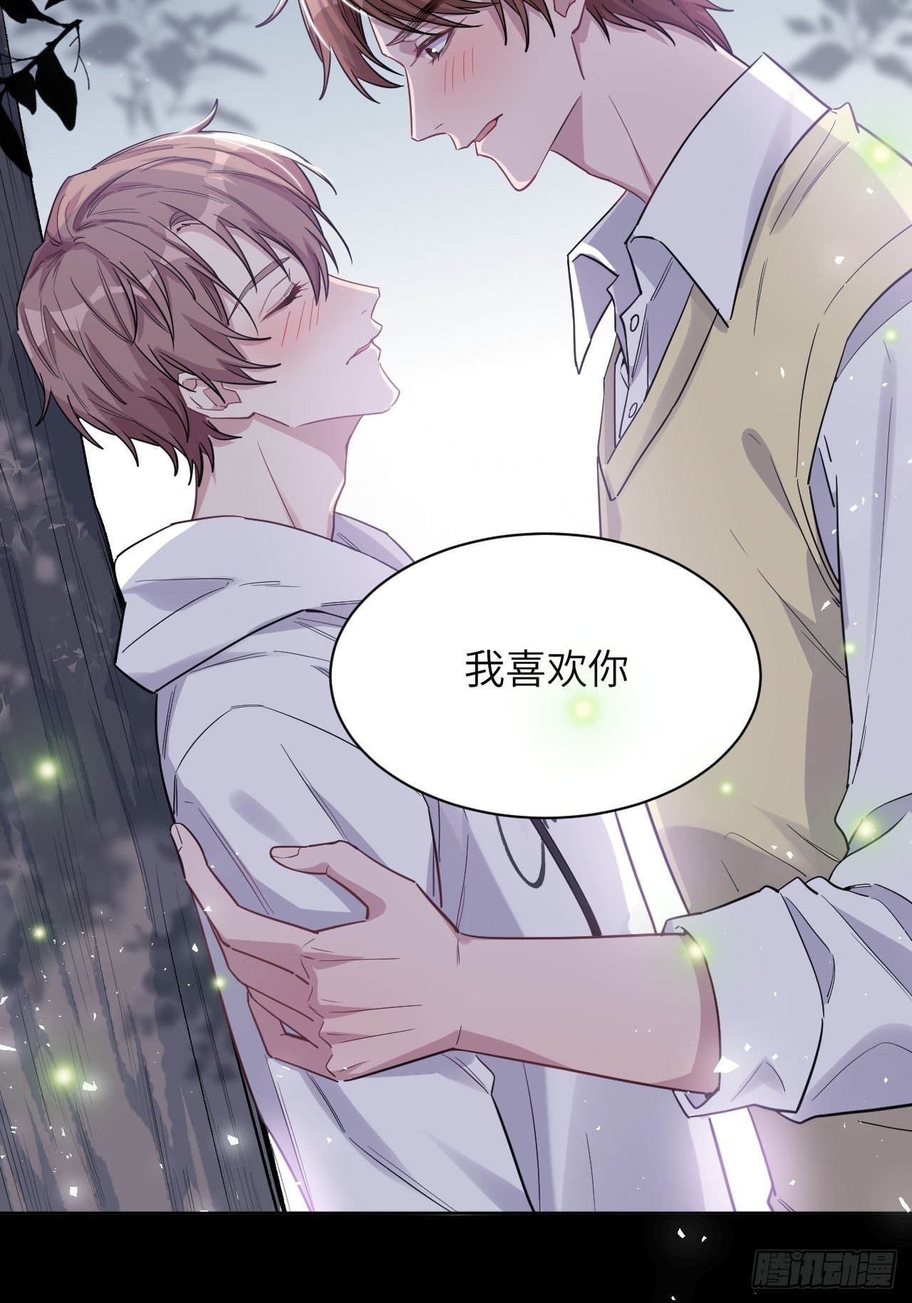 第29话：喜欢你的这么多年29