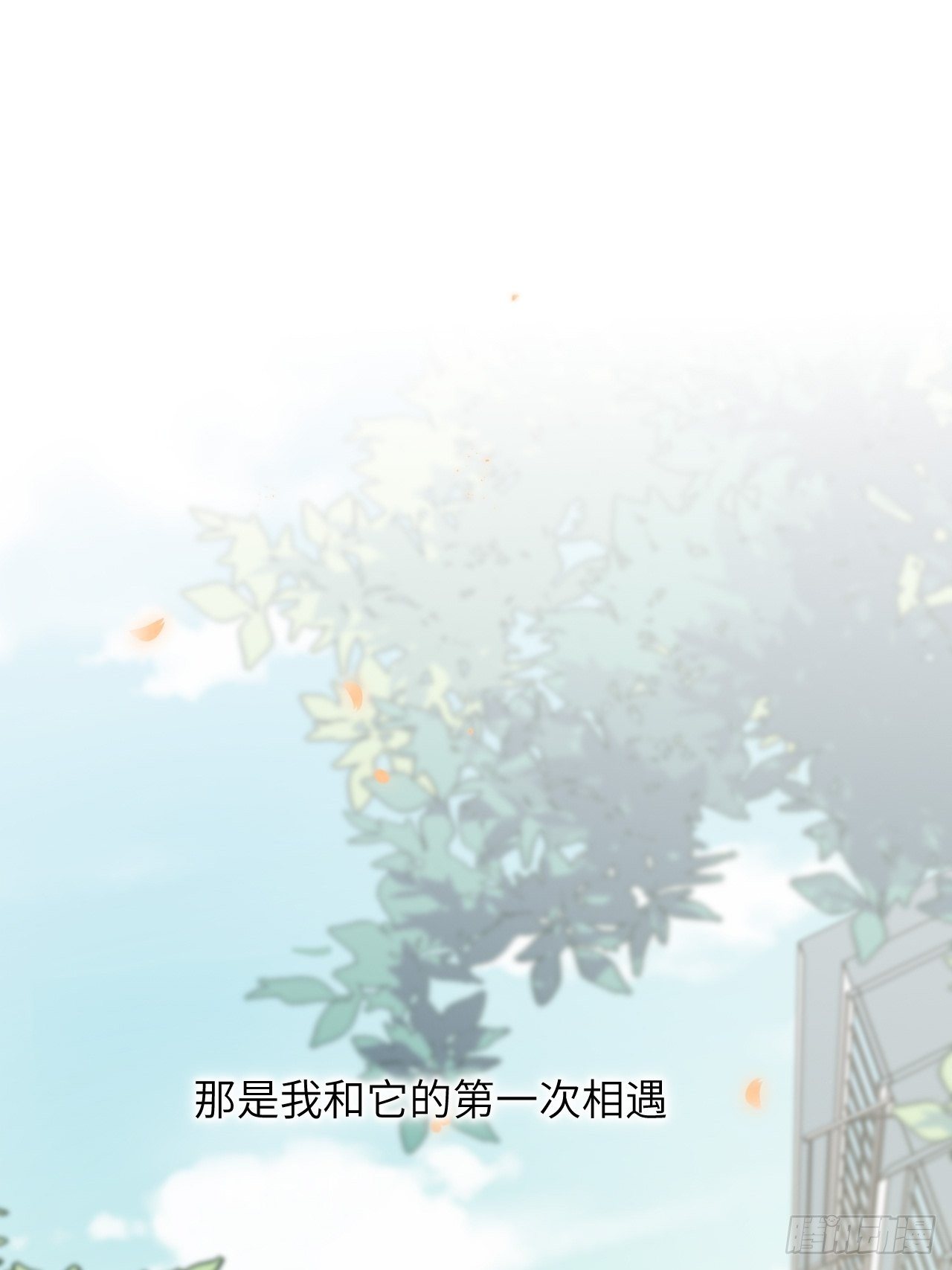 第11话：小熊玩具（一）58
