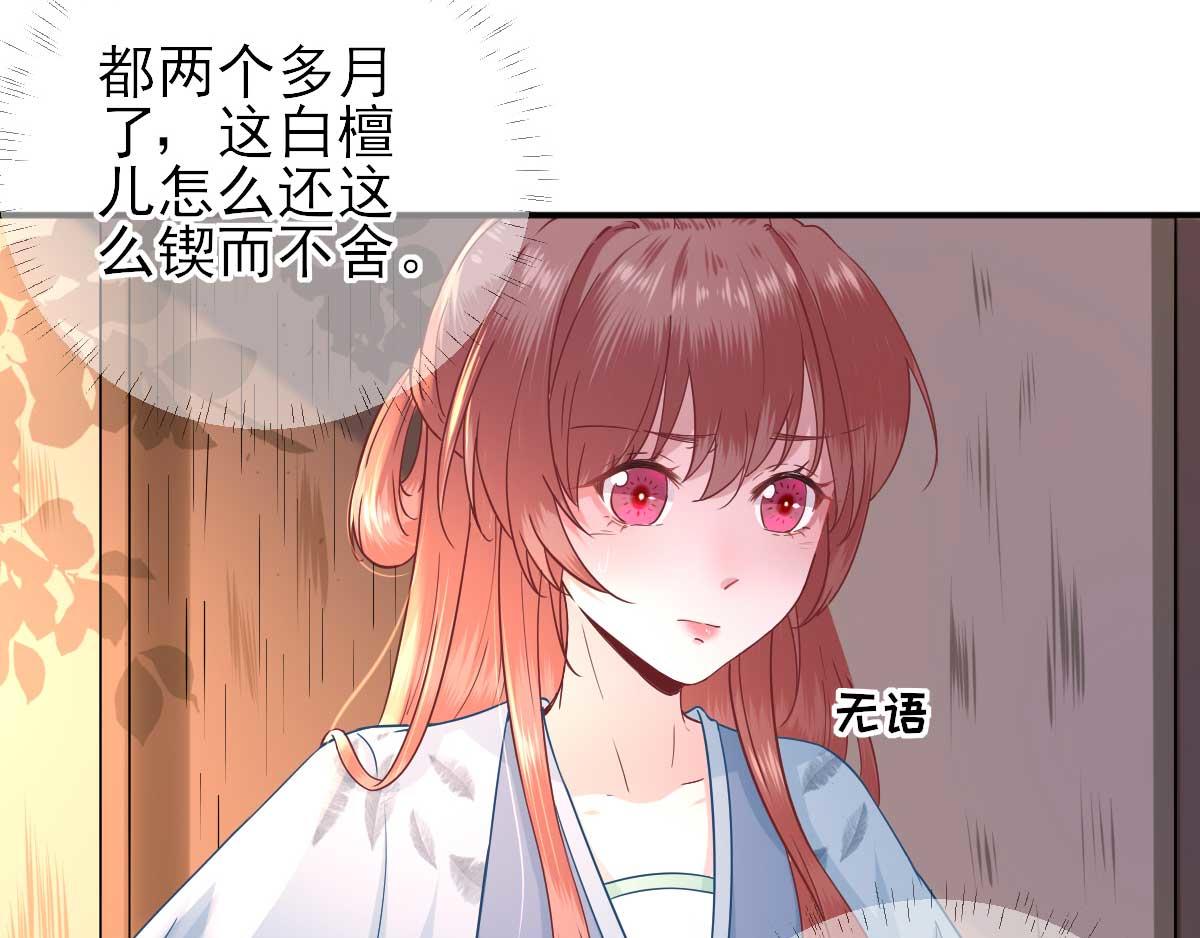 第50话白檀儿碰壁33