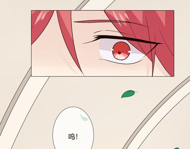 第1话 重逢12