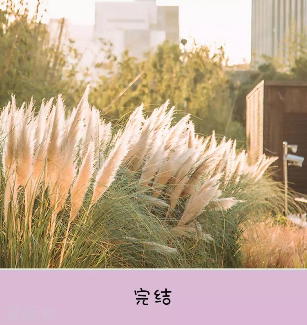最终话23