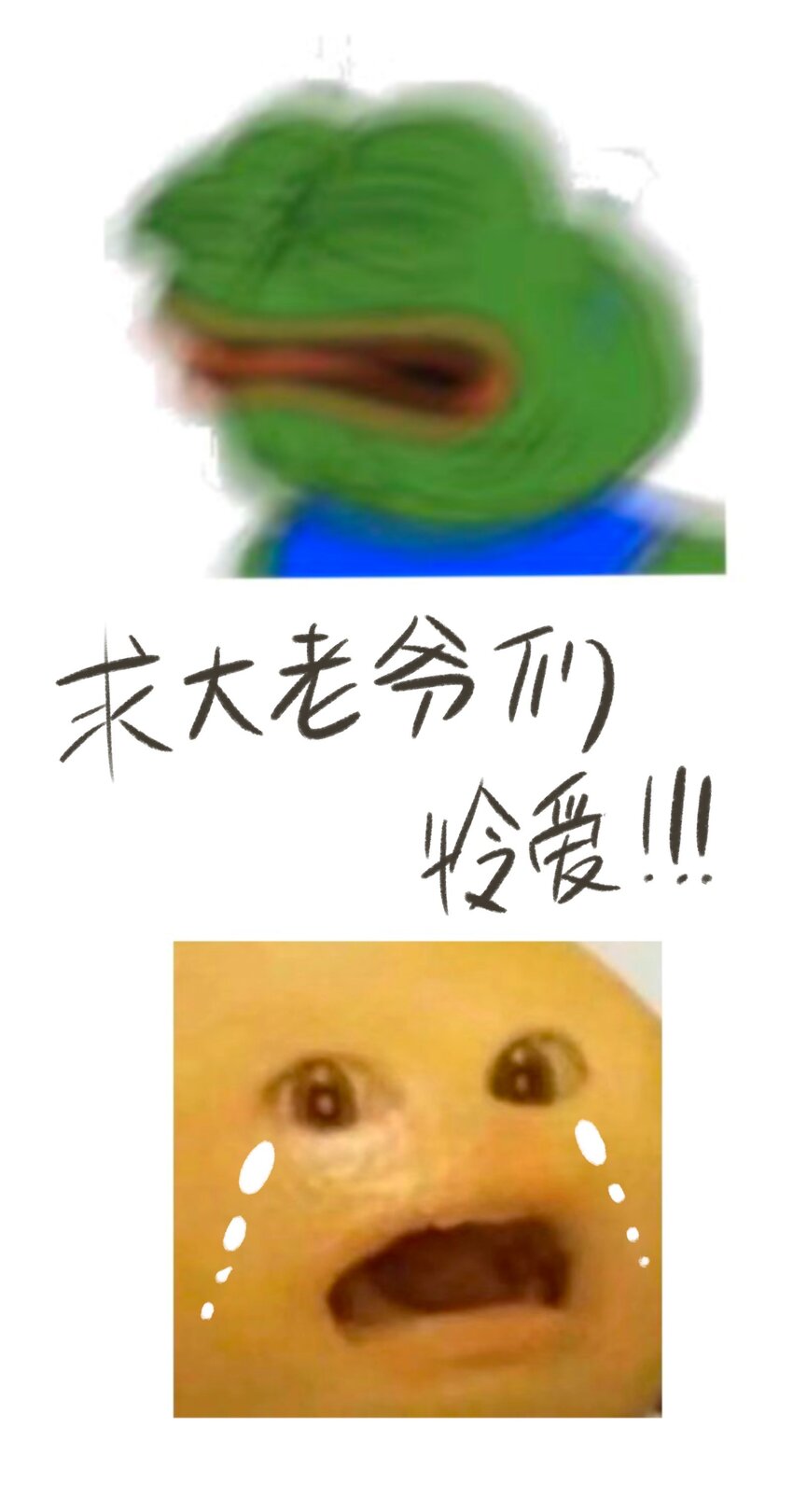 045会考特权44