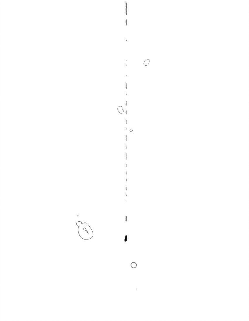 009 决心18